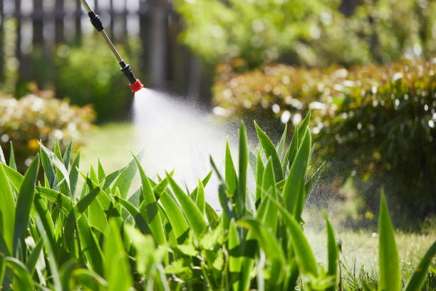 24/7 Emergency Mosquito Control experts in New Chicago, IN