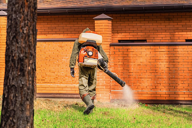 Top rated local Mosquito Control specialists in New Chicago, IN